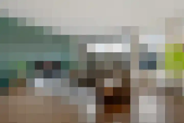 Zetveld 33 Schoonoord thumbnail 7