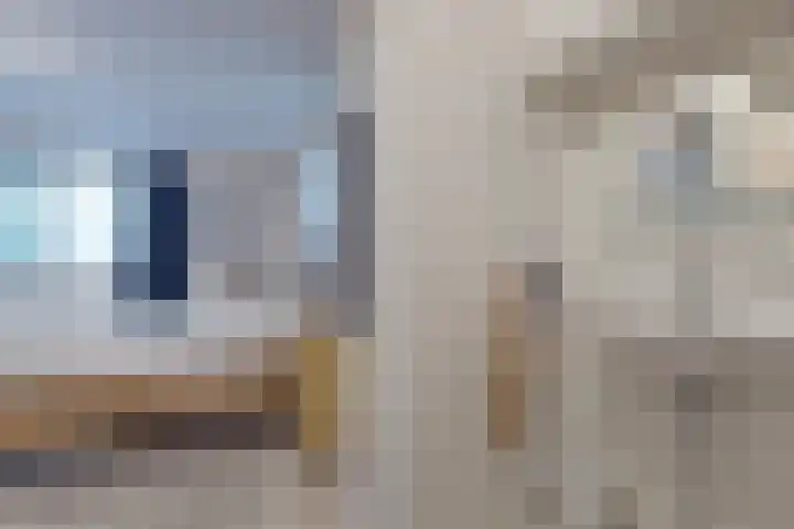 Zetveld 33 Surhuisterveen thumbnail 16