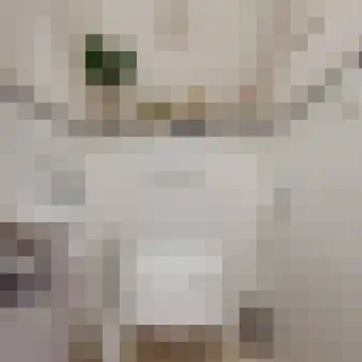 Zetveld 33 Surhuisterveen thumbnail 20