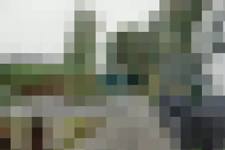 Zetveld 33 Surhuisterveen thumbnail 24