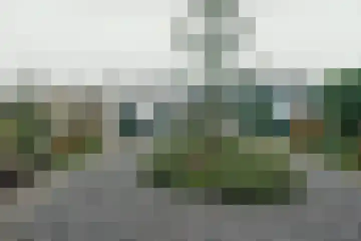 Zetveld 33 Surhuisterveen thumbnail 26