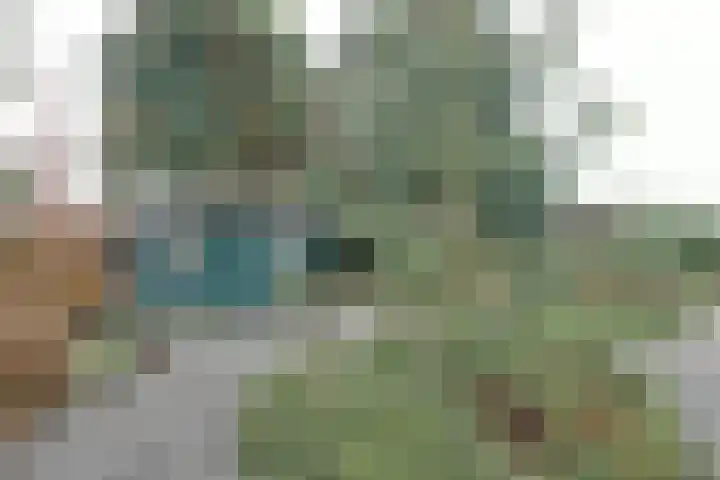 Zetveld 33 Surhuisterveen thumbnail 27