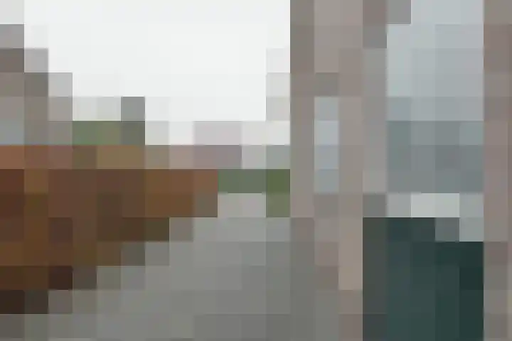 Zetveld 33 Surhuisterveen thumbnail 28