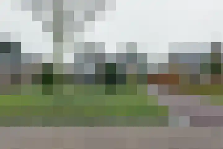 Zetveld 33 Surhuisterveen thumbnail 29