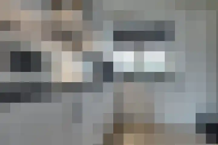 Zetveld 33 Surhuisterveen thumbnail 4
