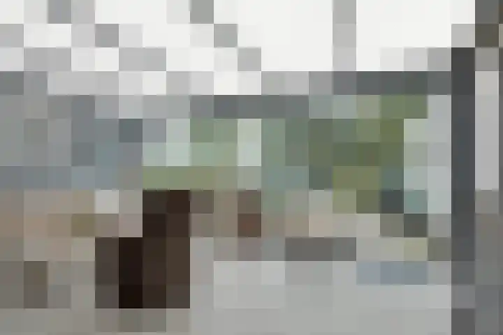 Zetveld 33 Surhuisterveen thumbnail 5