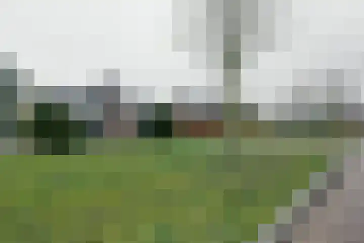 Zetveld 33 Surhuisterveen thumbnail 6