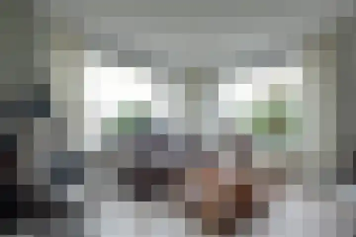Zetveld 33 Surhuisterveen thumbnail 7
