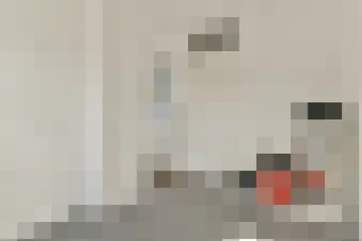 Zetveld 38 Amstelveen thumbnail 22