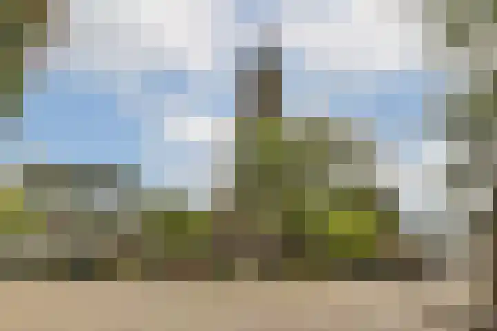 Zetveld 38 Amstelveen thumbnail 29