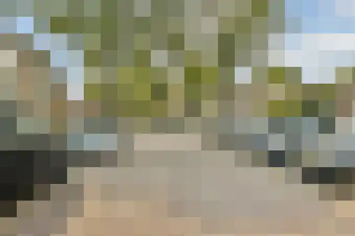 Zetveld 38 Amstelveen thumbnail 30