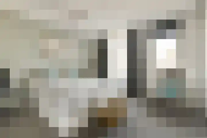 Zetveld 38 Amstelveen thumbnail 6