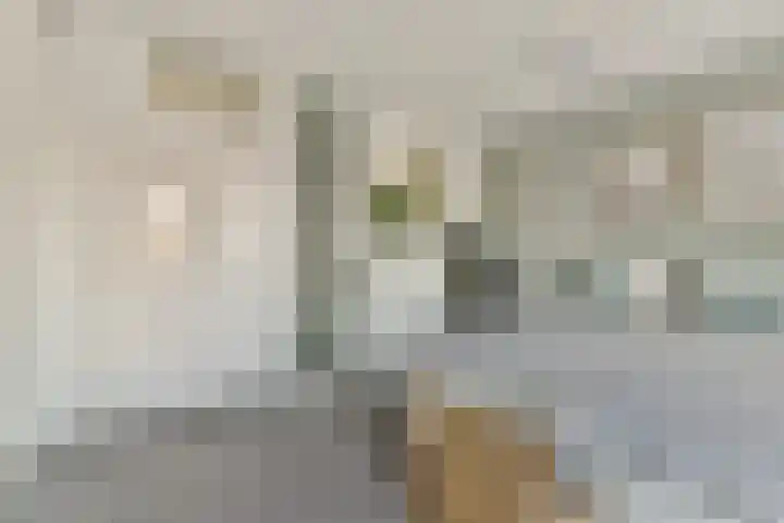Zetveld 38 Amstelveen thumbnail 8