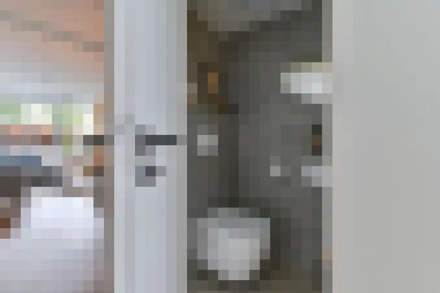 Zetveld 4 Schoonoord thumbnail 12
