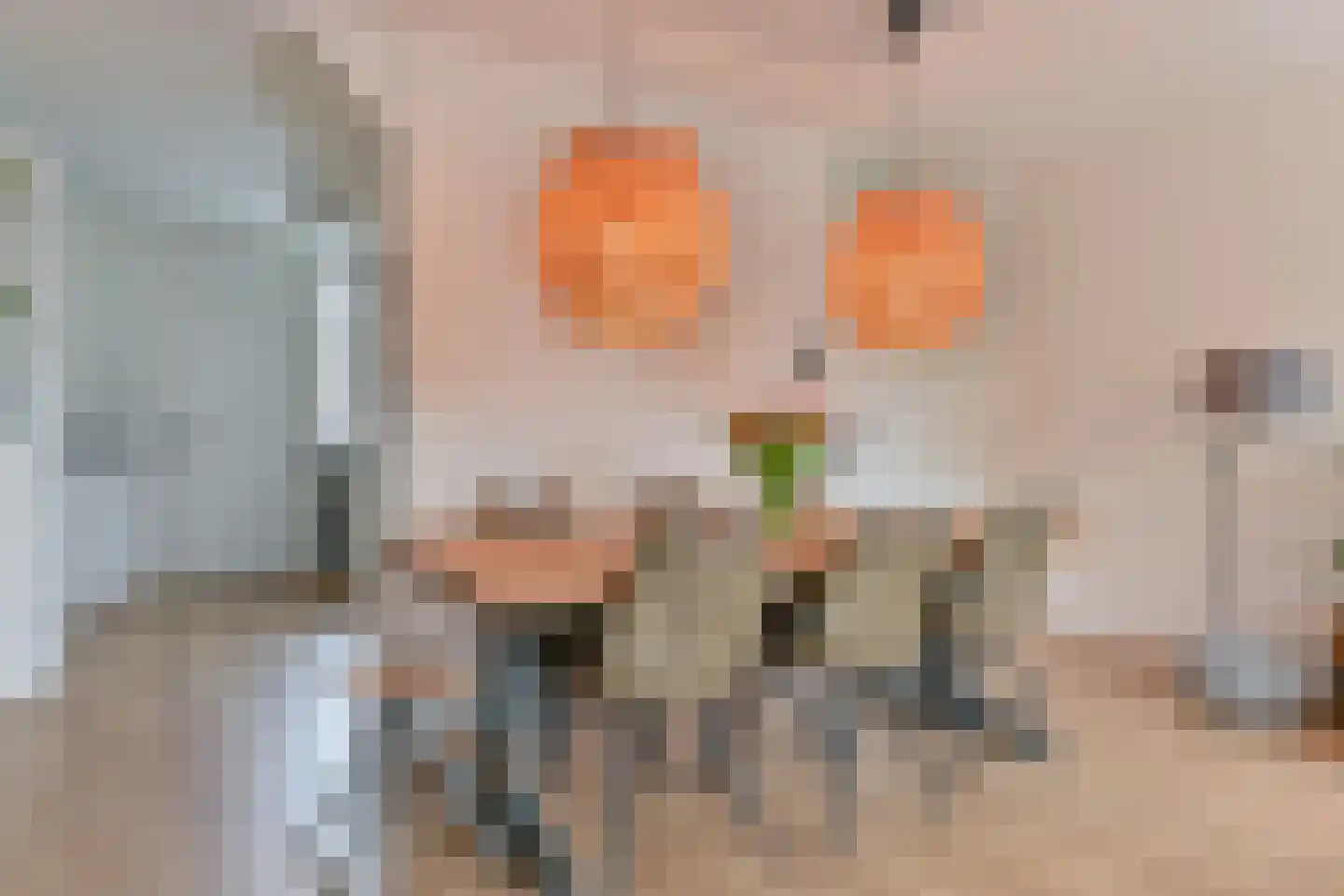 Zetveld 4 Schoonoord thumbnail 20