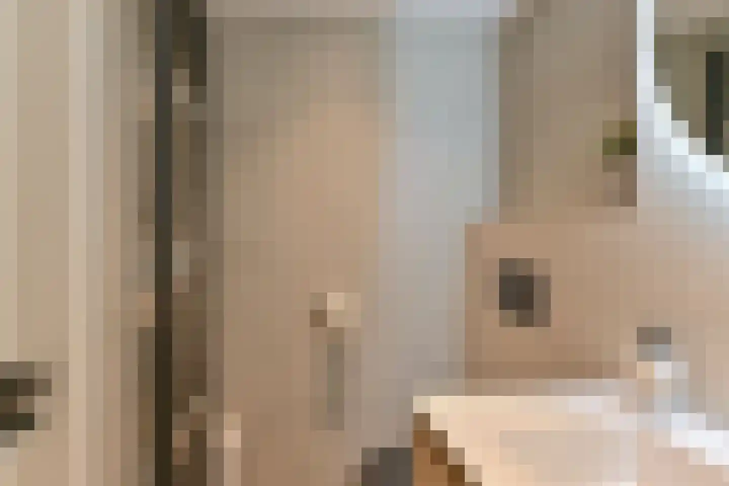 Zetveld 4 Schoonoord thumbnail 46