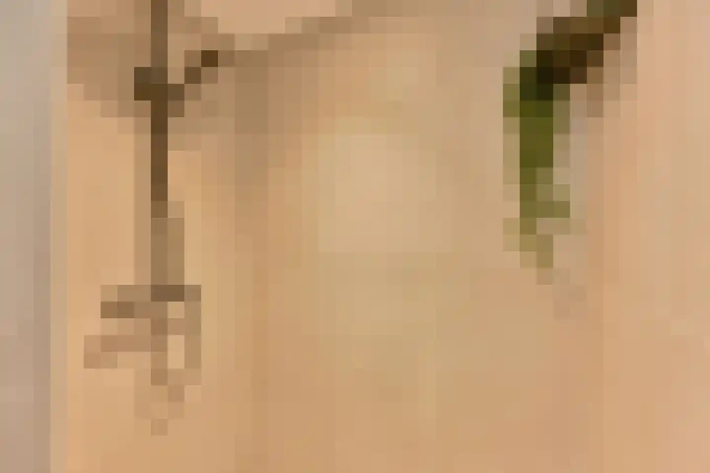 Zetveld 4 Schoonoord thumbnail 48