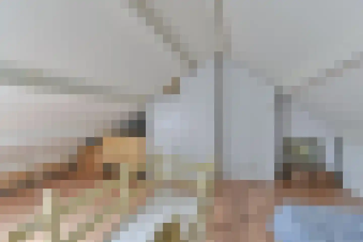 Zetveld 4 Schoonoord thumbnail 55