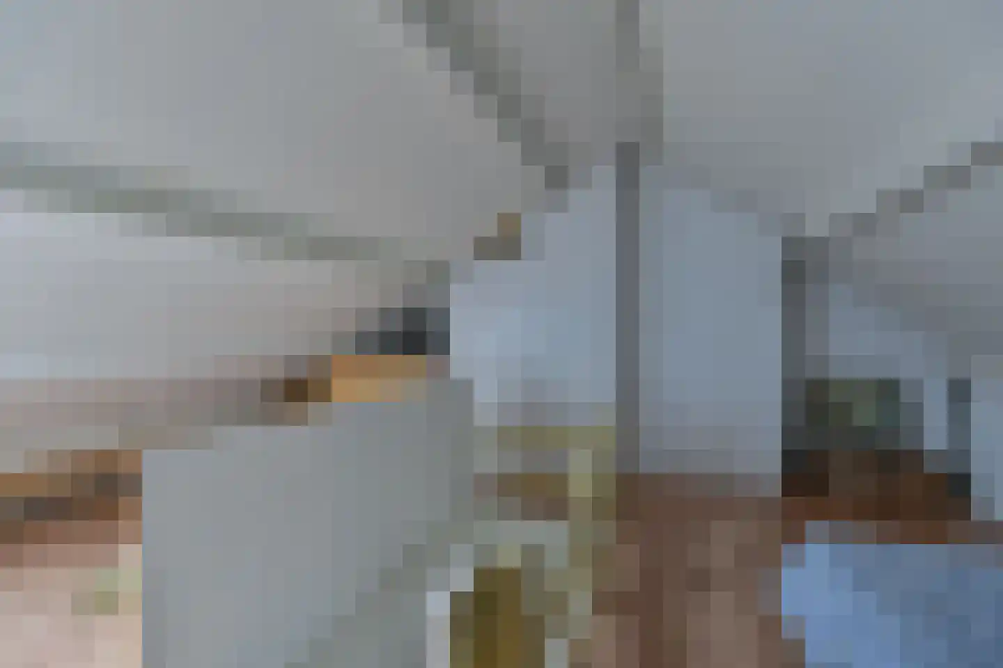 Zetveld 4 Schoonoord thumbnail 59