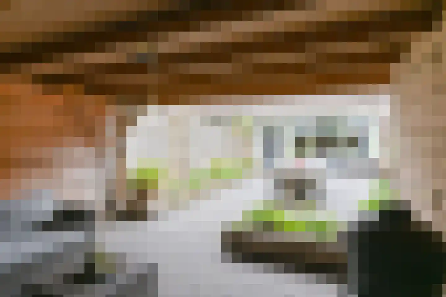 Zetveld 4 Schoonoord thumbnail 62