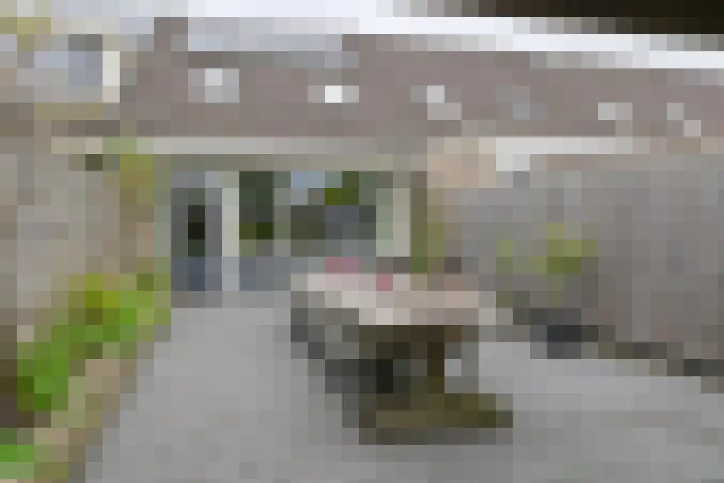 Zetveld 4 Schoonoord thumbnail 63