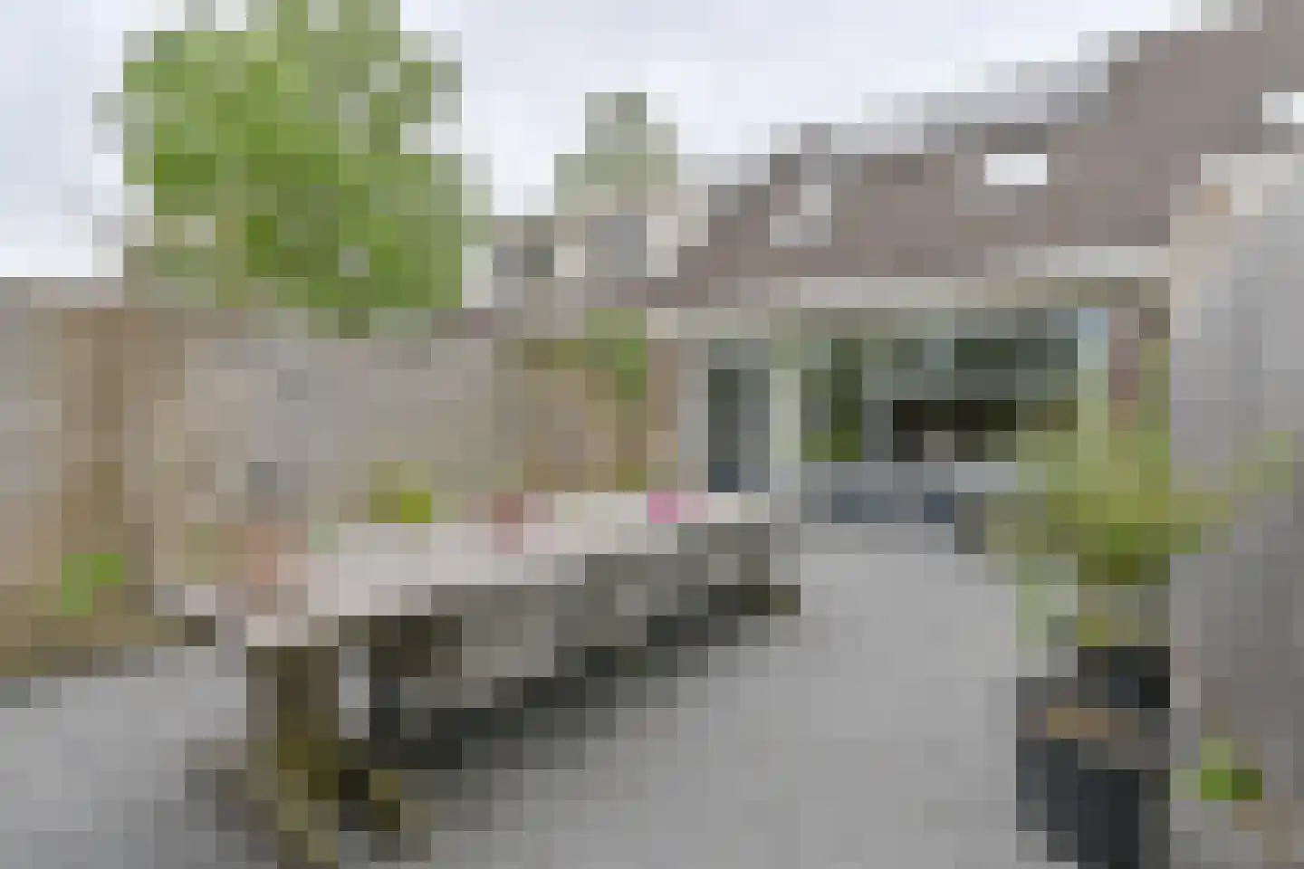 Zetveld 4 Schoonoord thumbnail 64