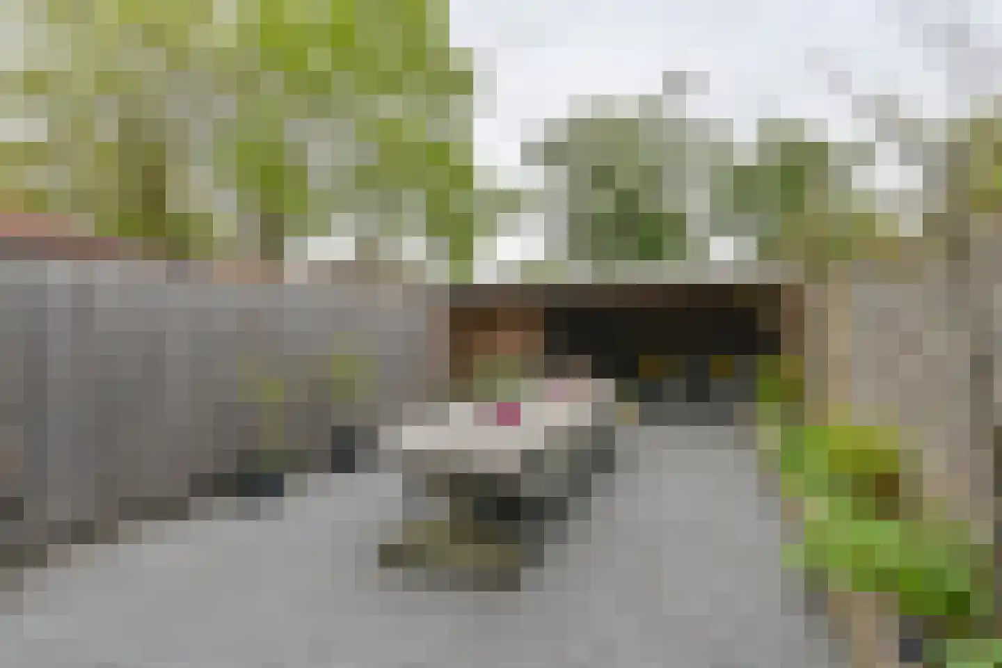 Zetveld 4 Schoonoord thumbnail 65
