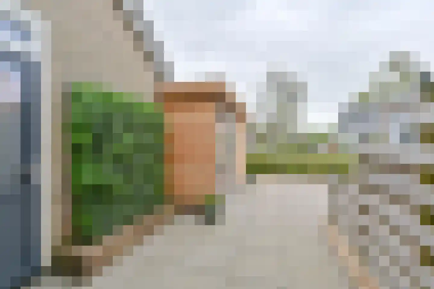 Zetveld 4 Schoonoord thumbnail 7