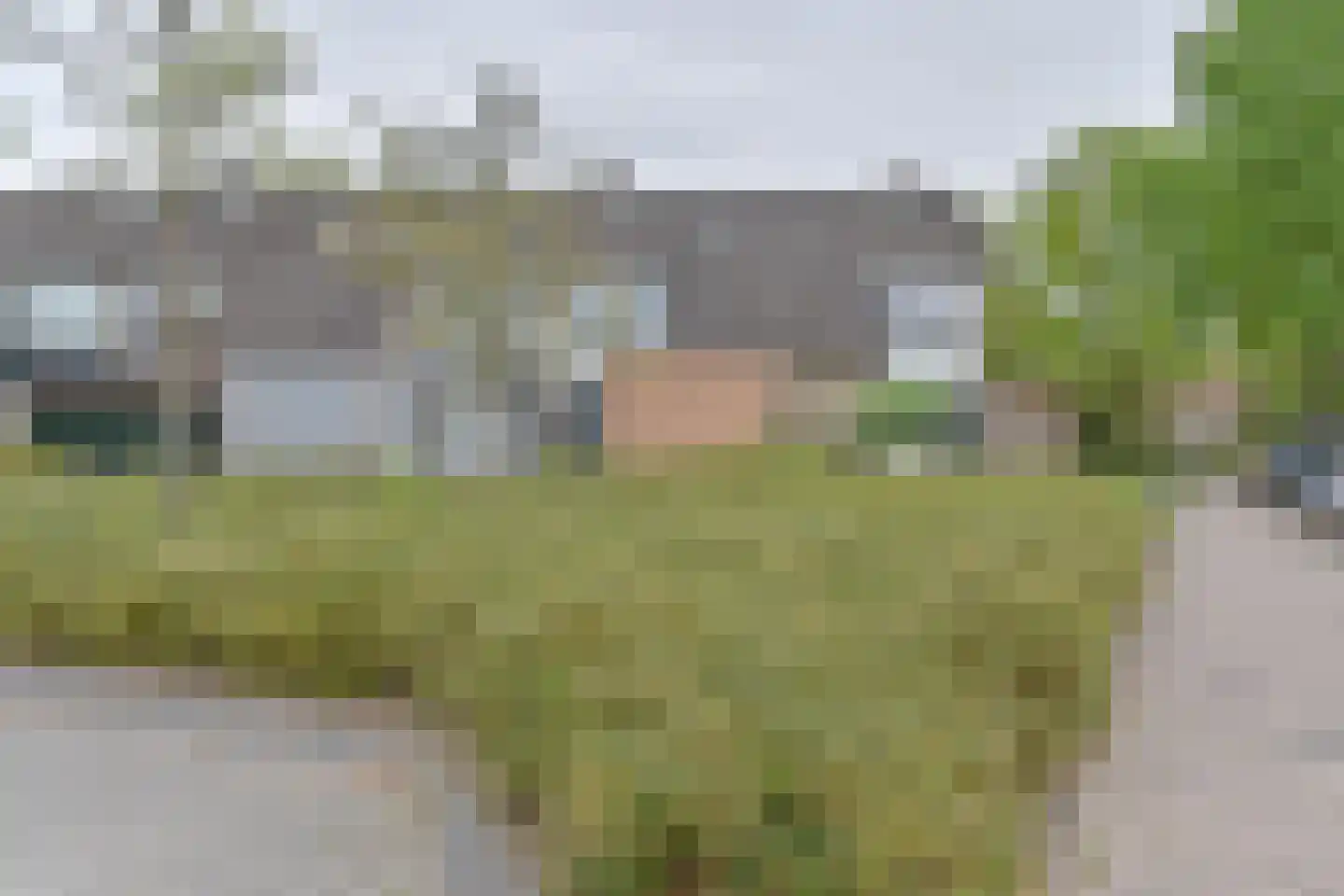 Zetveld 4 Schoonoord thumbnail 70