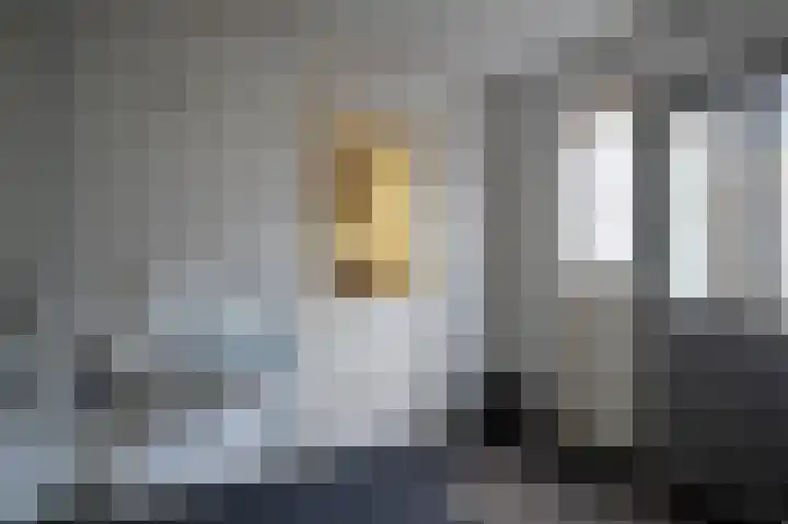 Zetveld 4 Surhuisterveen thumbnail 13