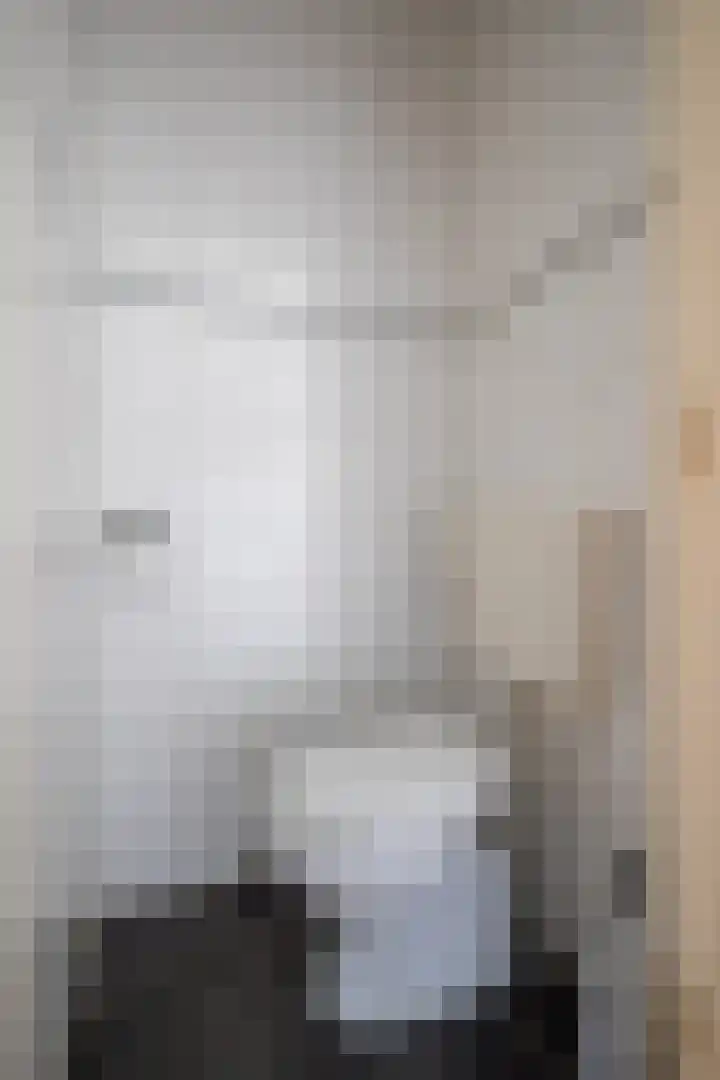Zetveld 4 Surhuisterveen thumbnail 16