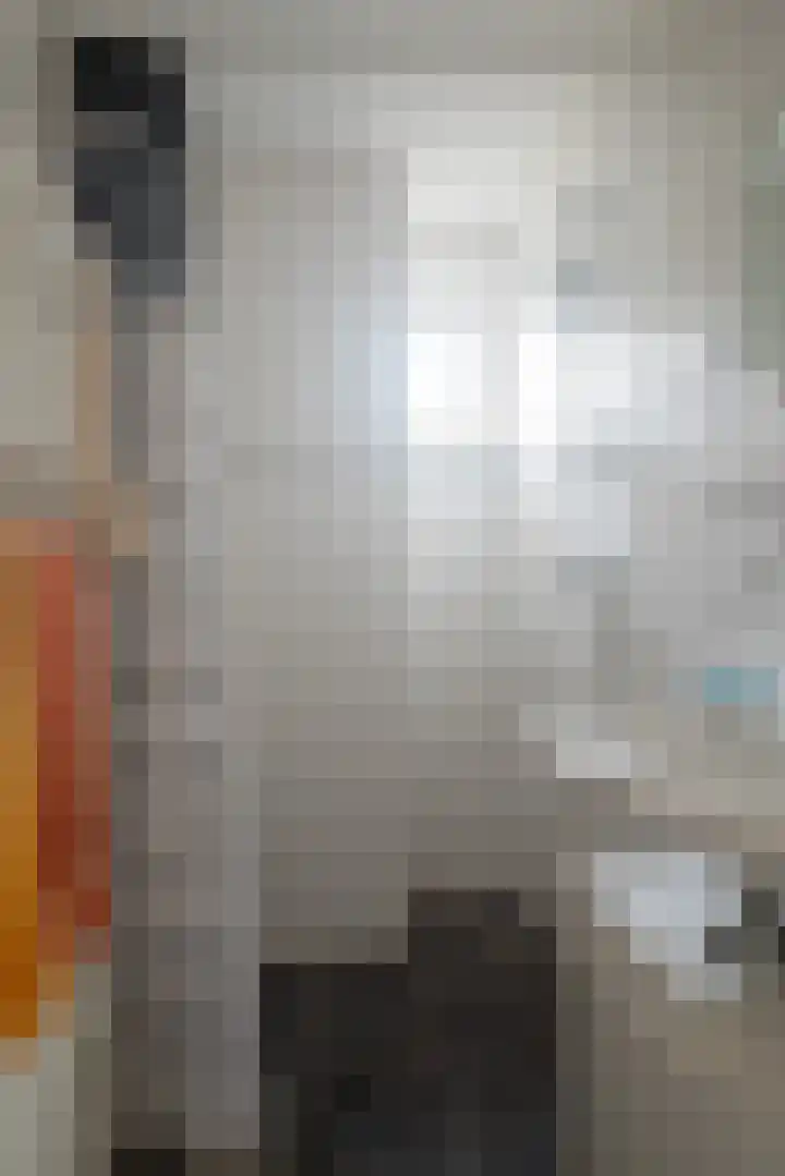 Zetveld 4 Surhuisterveen thumbnail 28