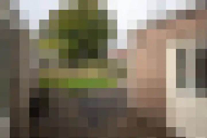 Zetveld 4 Surhuisterveen thumbnail 34