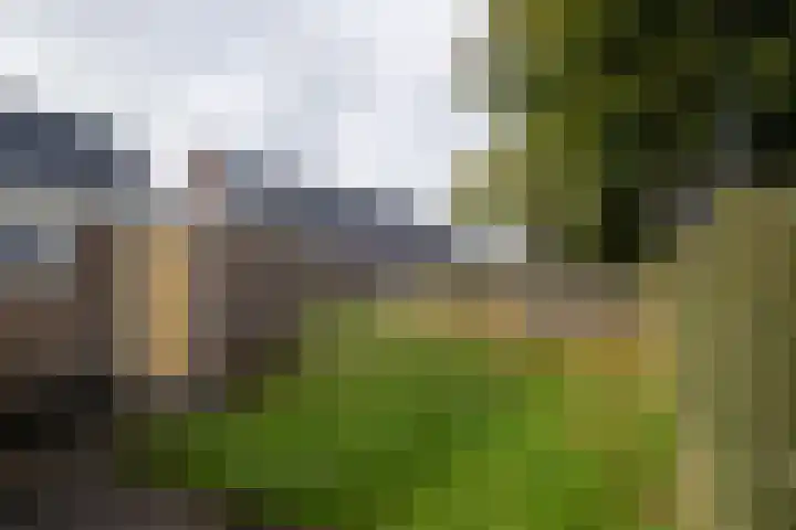 Zetveld 4 Surhuisterveen thumbnail 35