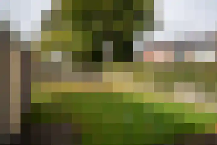 Zetveld 4 Surhuisterveen thumbnail 36