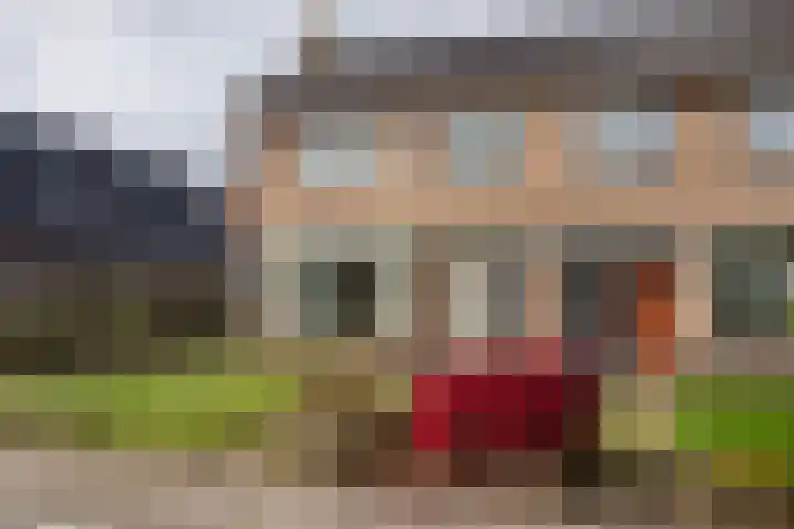 Zetveld 4 Surhuisterveen thumbnail 4