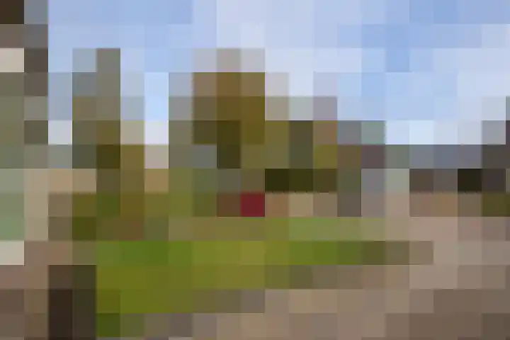 Zetveld 4 Surhuisterveen thumbnail 43