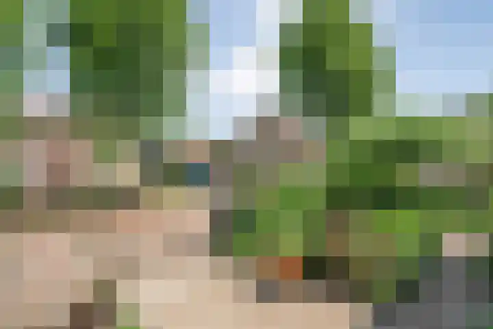 Zetveld 4 Zuidwolde thumbnail 10