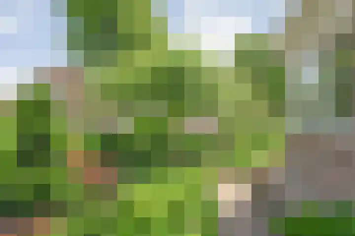 Zetveld 4 Zuidwolde thumbnail 11