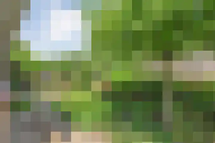 Zetveld 4 Zuidwolde thumbnail 12