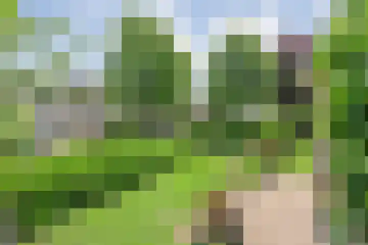 Zetveld 4 Zuidwolde thumbnail 13