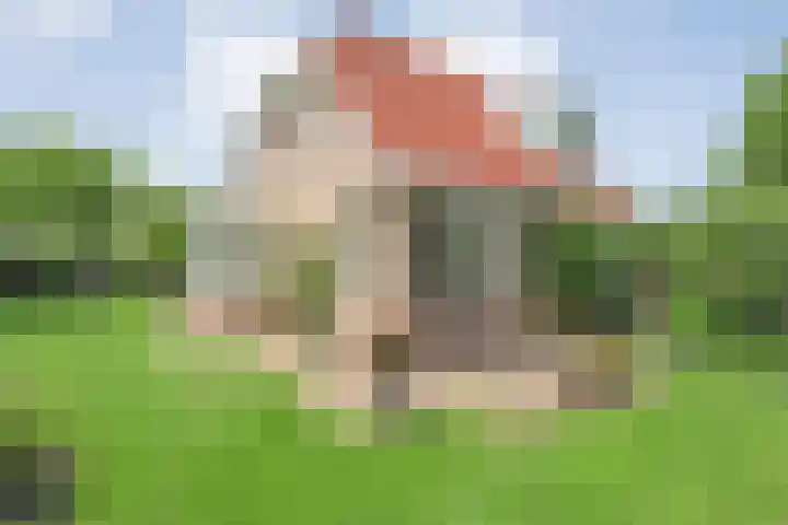 Zetveld 4 Zuidwolde thumbnail 14