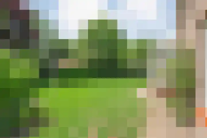 Zetveld 4 Zuidwolde thumbnail 15