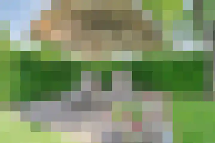 Zetveld 4 Zuidwolde thumbnail 16