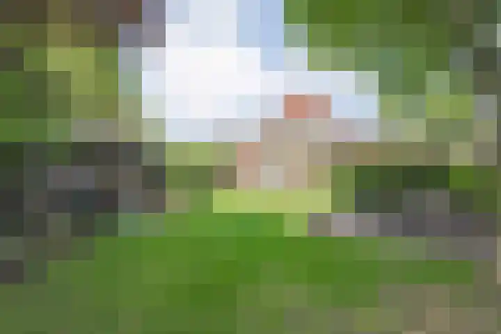 Zetveld 4 Zuidwolde thumbnail 17