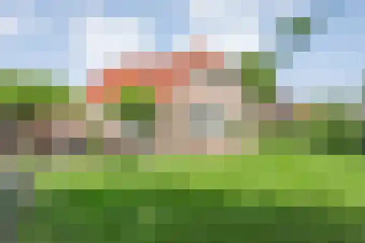 Zetveld 4 Zuidwolde thumbnail 19