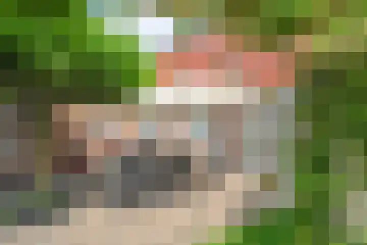 Zetveld 4 Zuidwolde thumbnail 21
