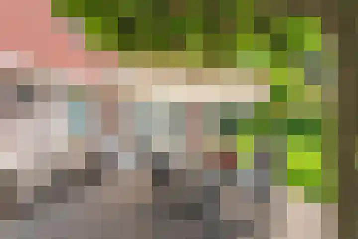 Zetveld 4 Zuidwolde thumbnail 22