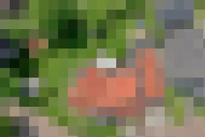 Zetveld 4 Zuidwolde thumbnail 24