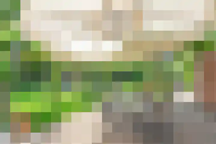 Zetveld 4 Zuidwolde thumbnail 25